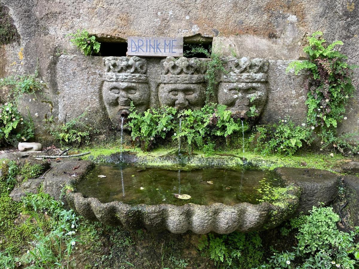 Associacao Quinta Das Relvas Branca Kültér fotó