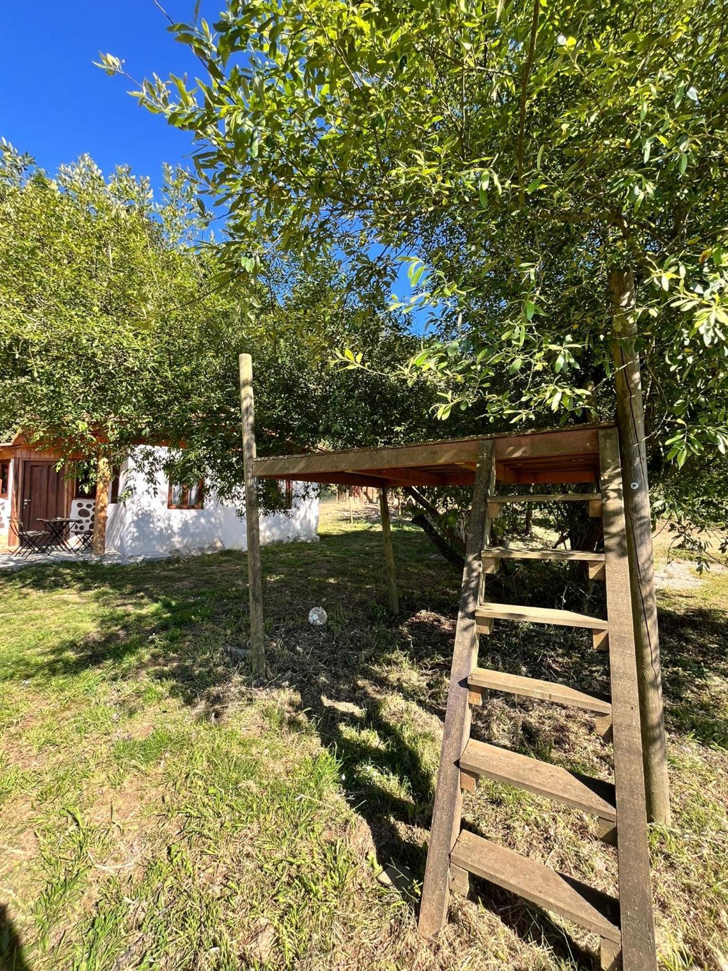 Associacao Quinta Das Relvas Branca Kültér fotó